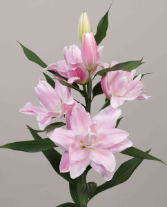 Yorktown ®