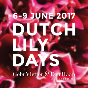Ontdek de toekomst van de lelie tijdens de Dutch Lily Days bij Vletter & Den Haan