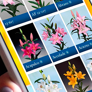De officiële Vletter & Den Haan app